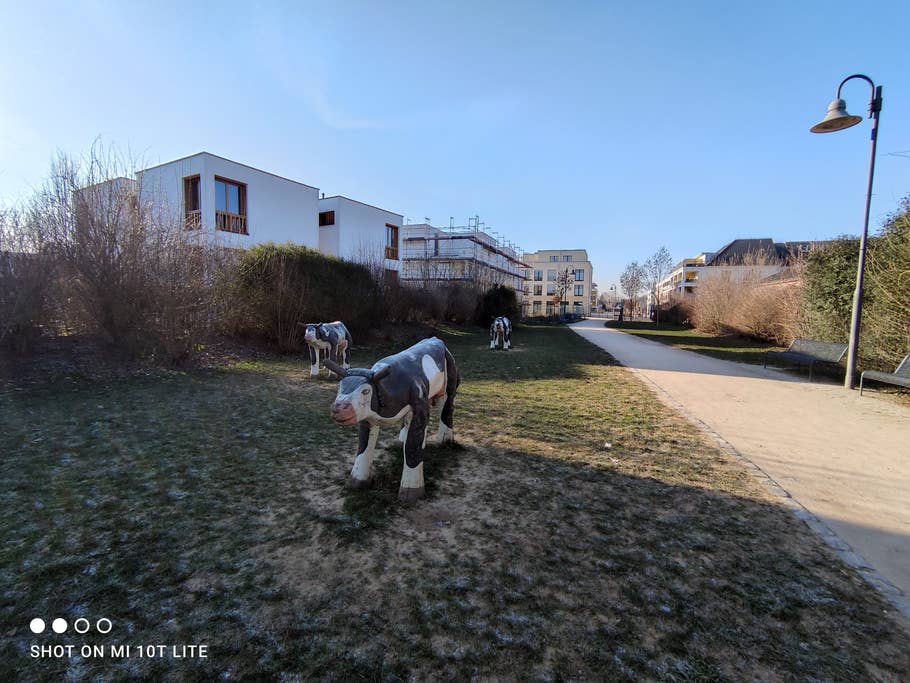 Ein Foto mit der Ultraweitwinkel-Kamera