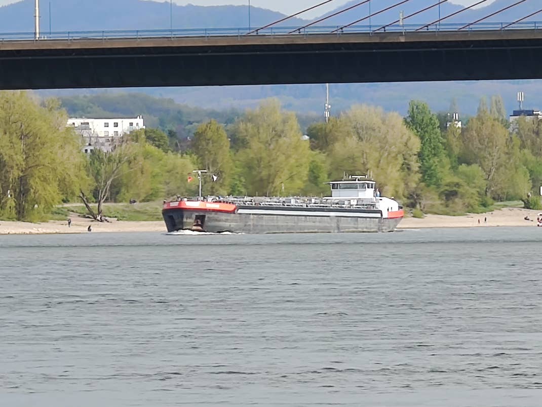 50-fach Zoom mit dem Mi 11 Ultra