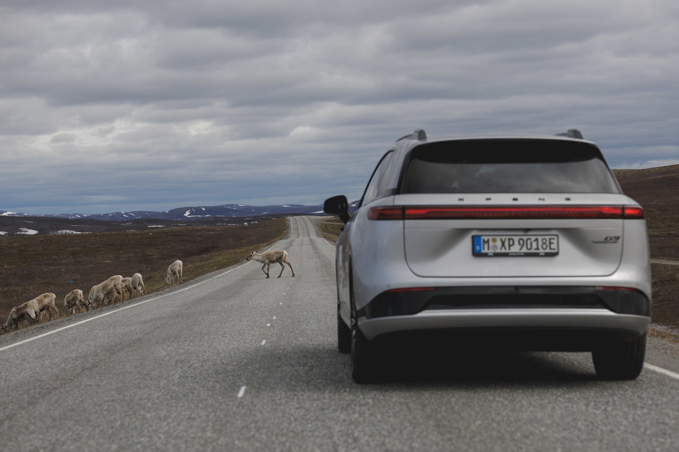 Mit-dem-E-Auto-zum-Nordkap-Tag-2-Kilometerfresser-Richtung-Norden