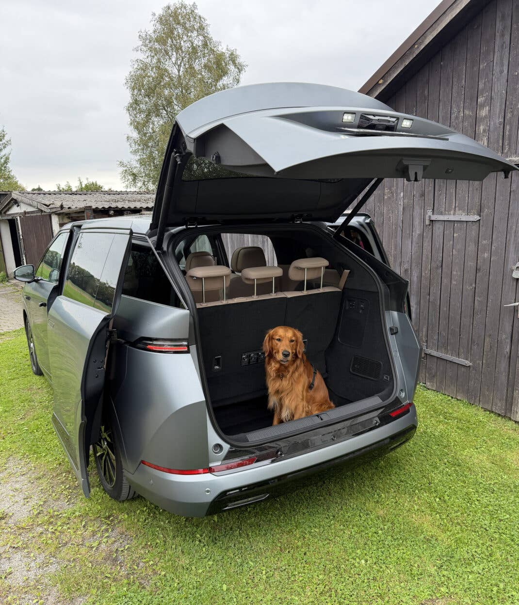 Hund im Kofferraum des Xpeng X9.